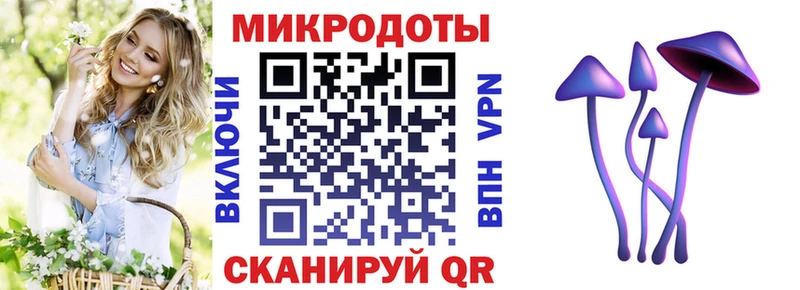 Купить где  Мелеуз  Псилоцибиновые грибы прущие грибы 